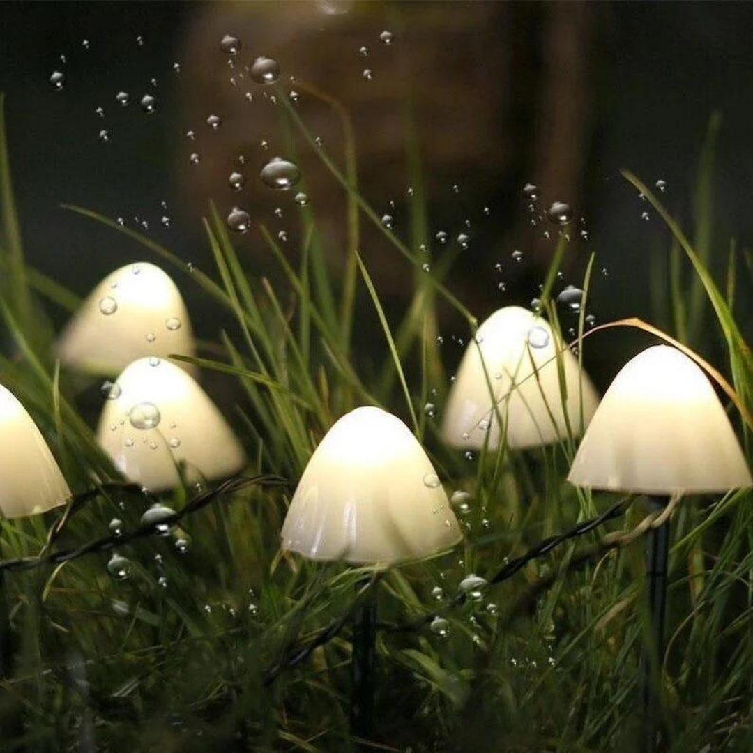 Guia de Hongos LED Solar para Jardín