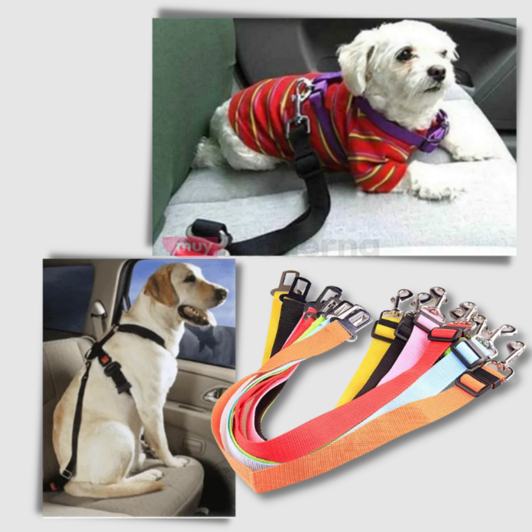 Cinturon de Seguridad para Mascotas