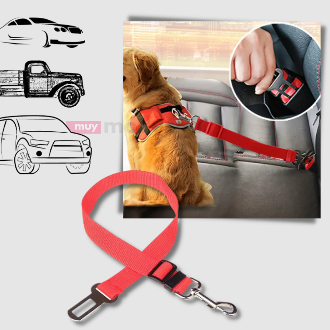 Cinturon de Seguridad para Mascotas