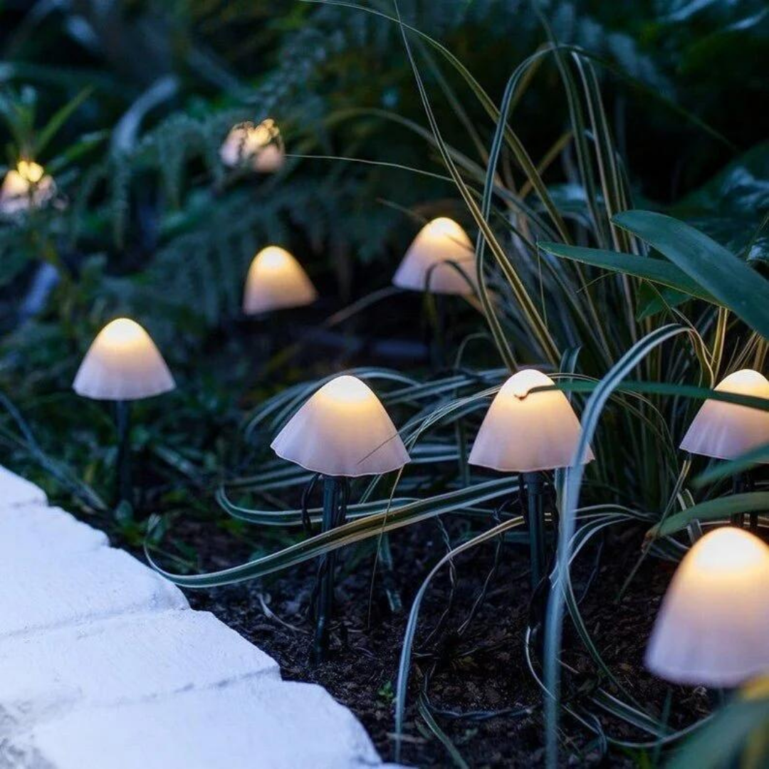 Guia de Hongos LED Solar para Jardín