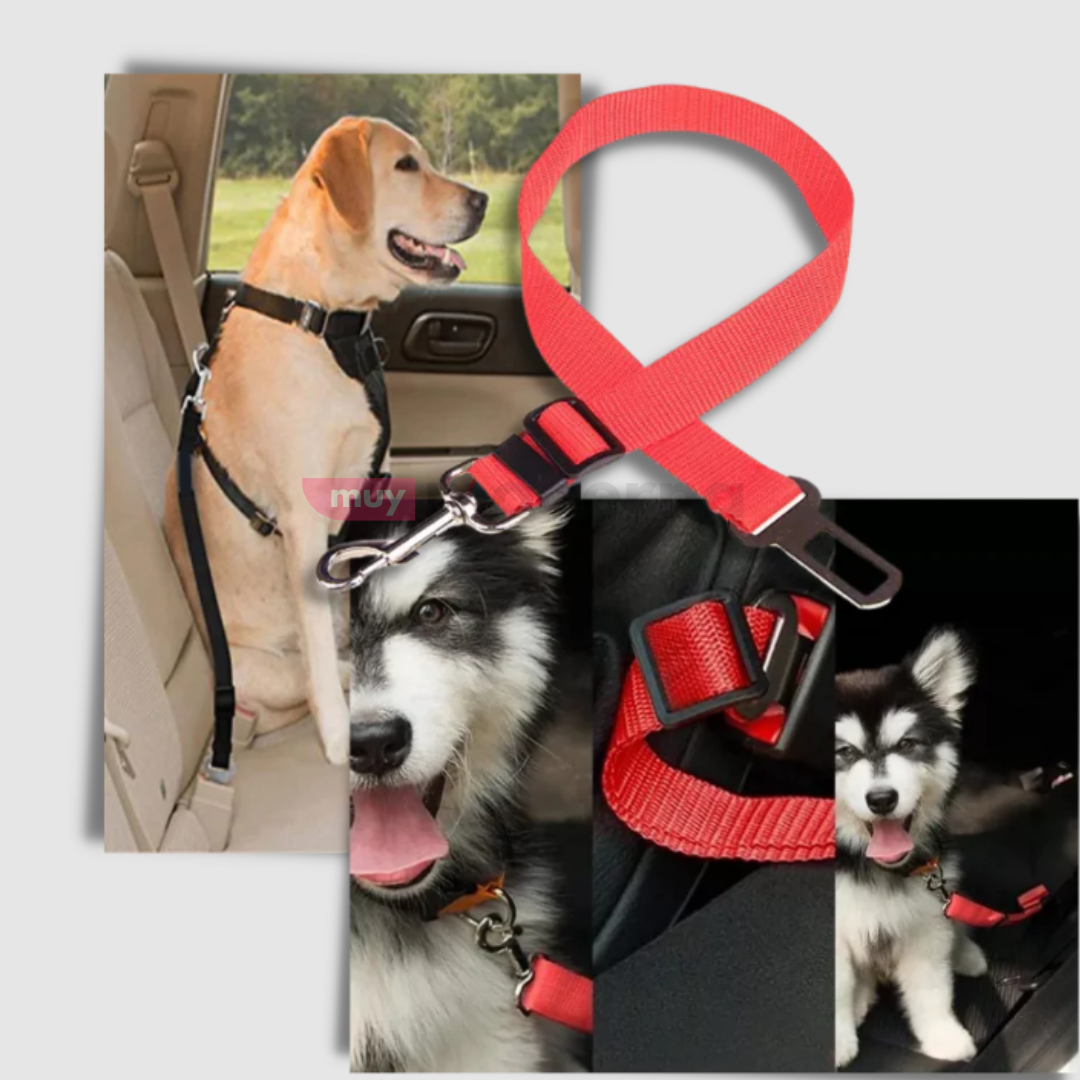Cinturon de Seguridad para Mascotas